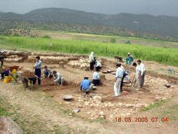 Choob Tarash excavations