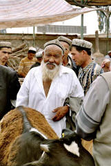 Kashgar livestock market: A mediator setting a fair price for a heifer