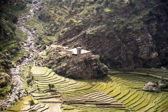 Farm with watchtower in Kohistan