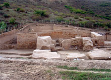 Gorgon Wall