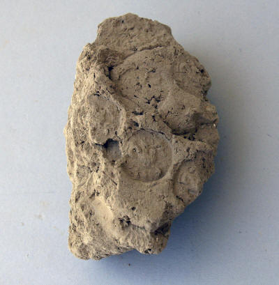 Clay bulla from the southern sector